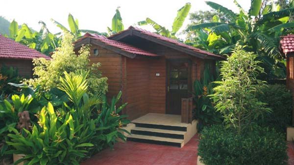 Winter Green Cottage surrounded by lush greenery